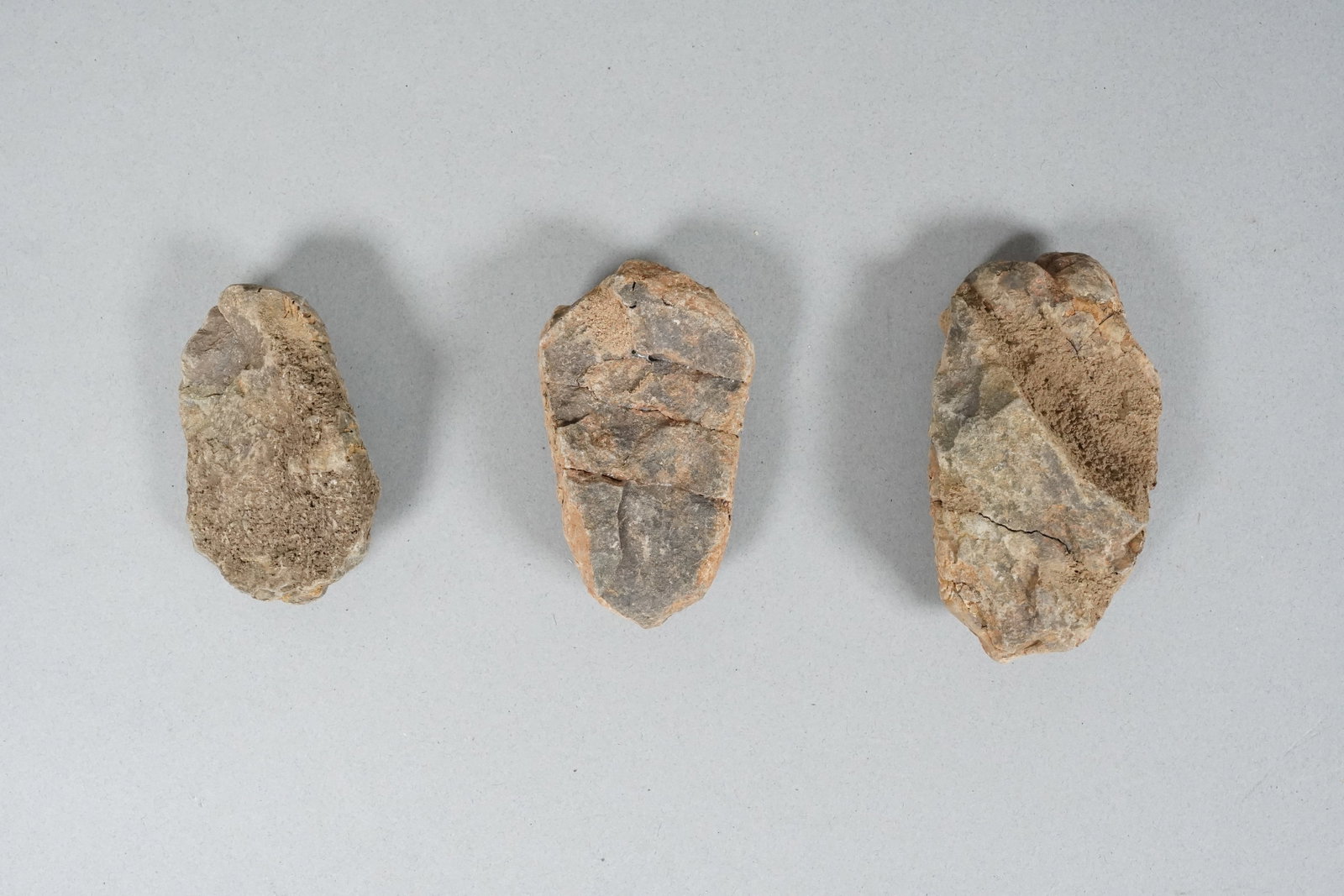 Lots fossilized items in a box - 4