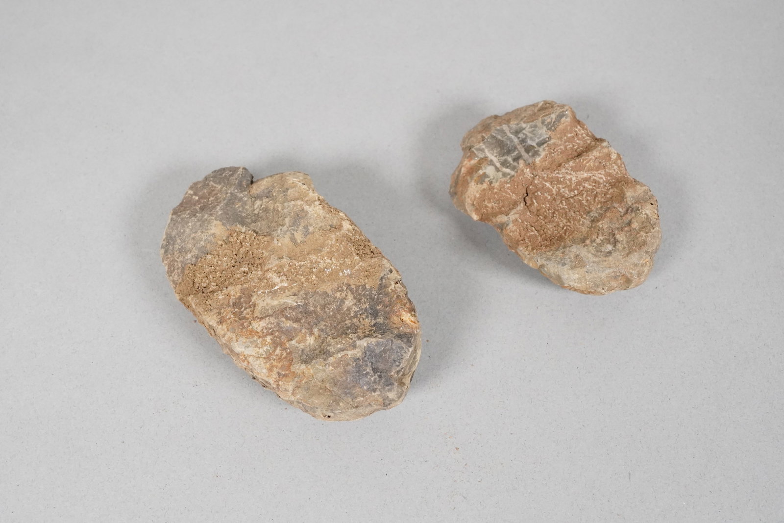 Lots fossilized items in a box - 6