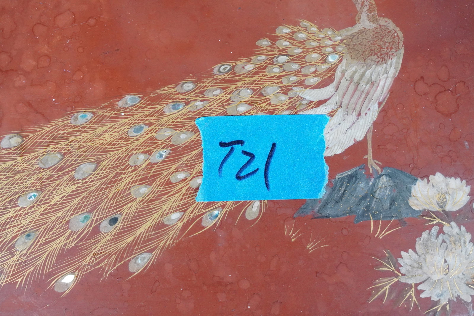 Lots fossilized items in a box - 7