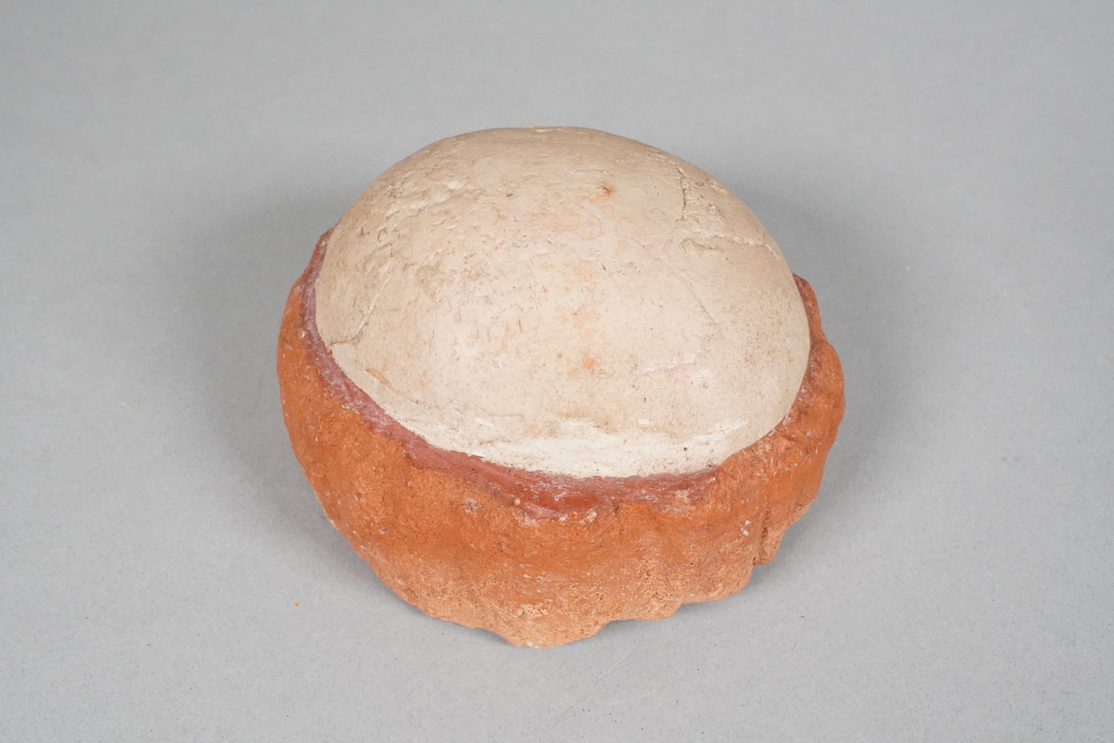 Lots fossilized items - 3