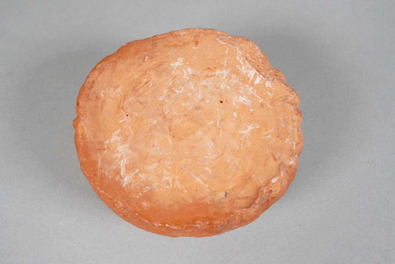 Lots fossilized items - 4