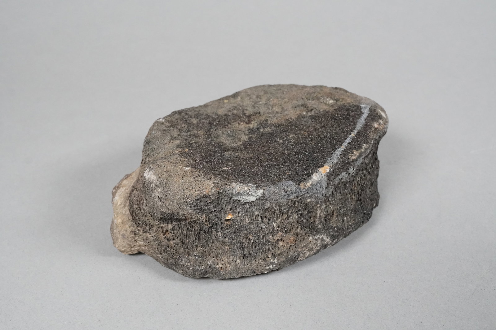 Lots fossilized items - 3