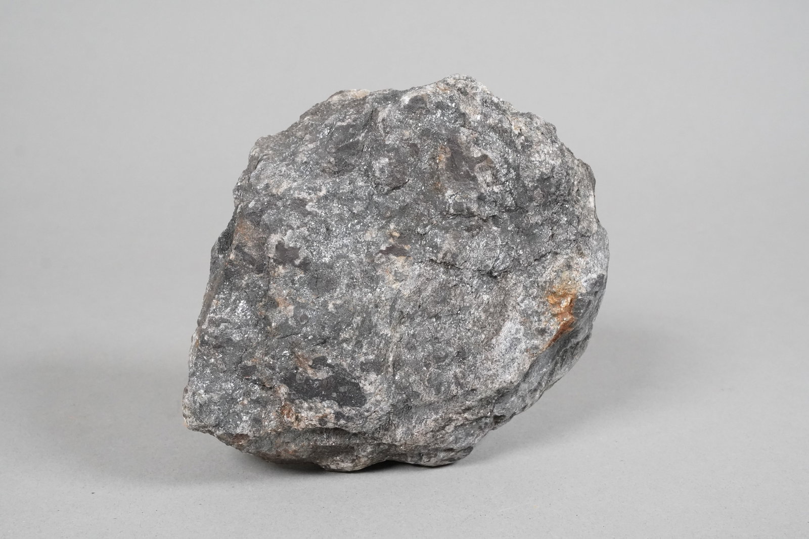 Lots fossilized items - 5