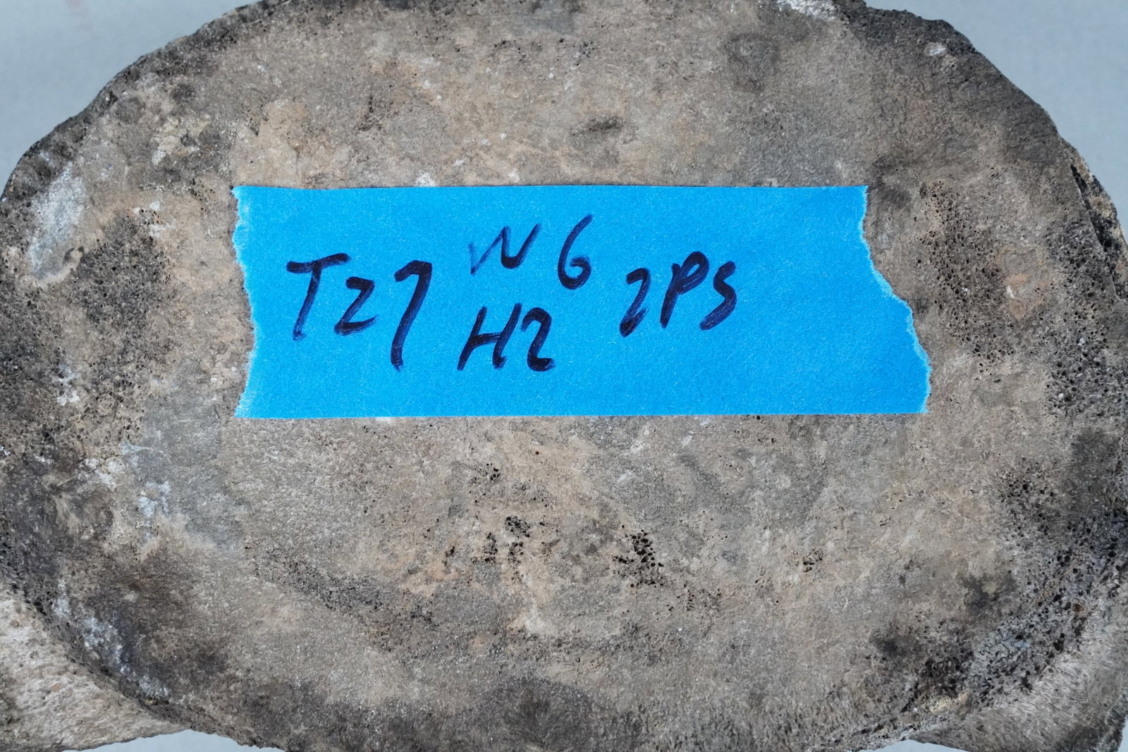 Lots fossilized items - 7