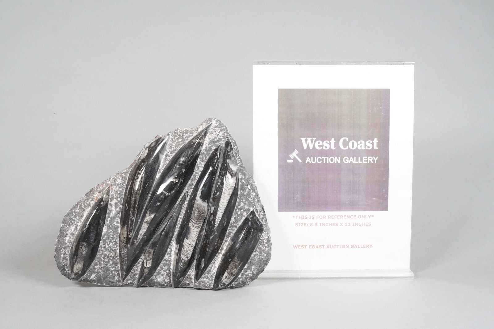 A large geode boulder - 2