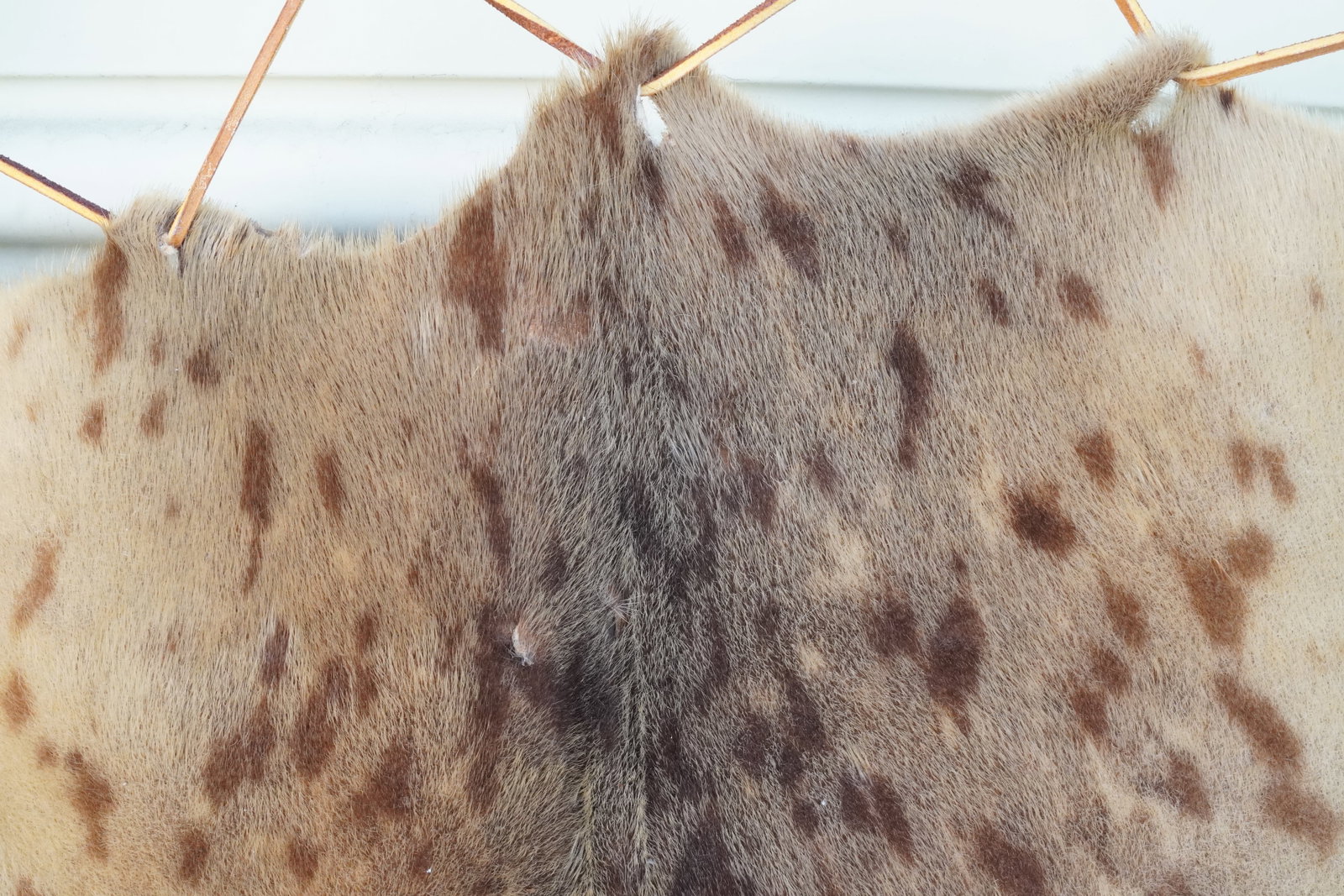 Antique large Native American hide work - 6