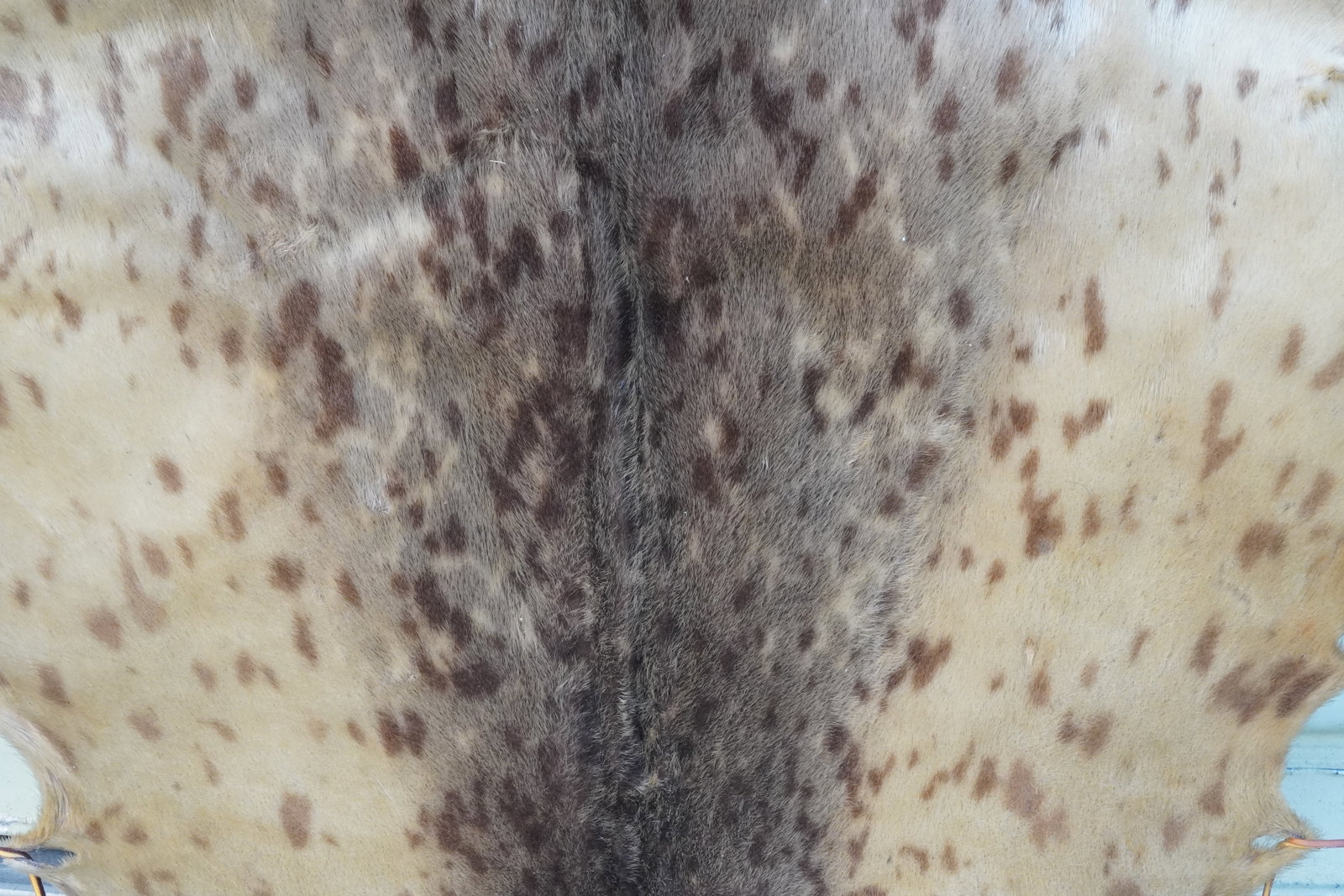 Antique large Native American hide work - 7