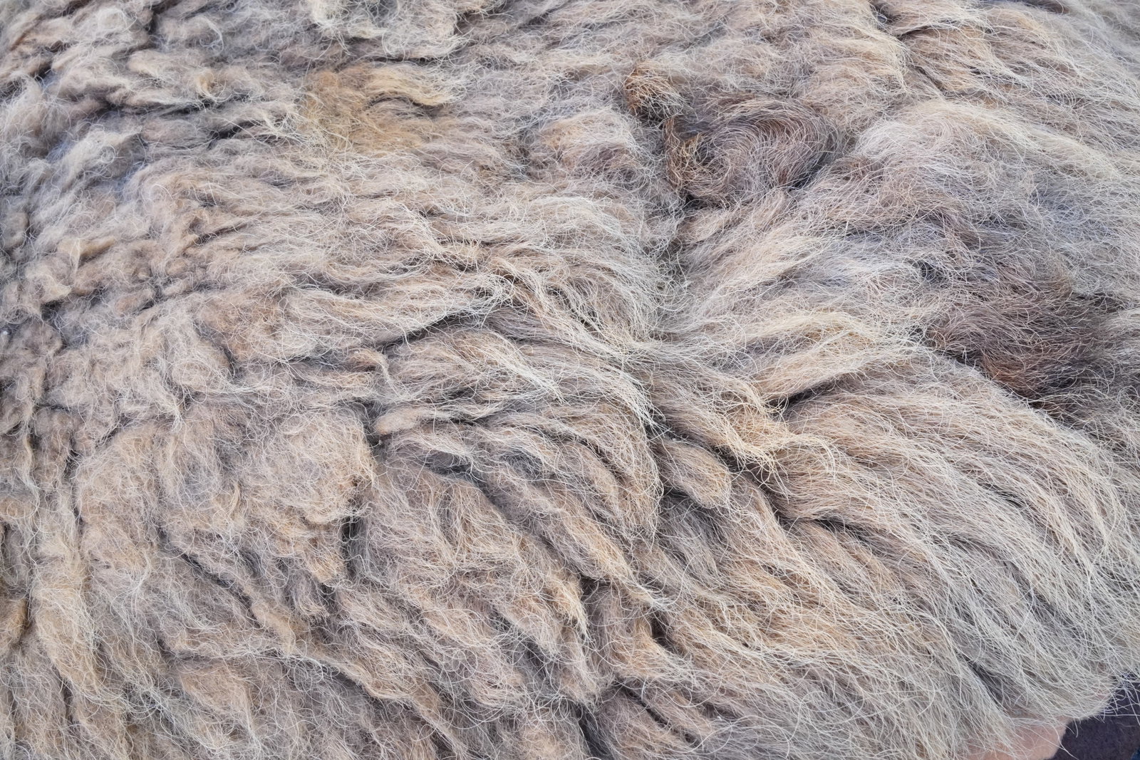 Large antique hide - 3