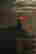 item-2809579=3