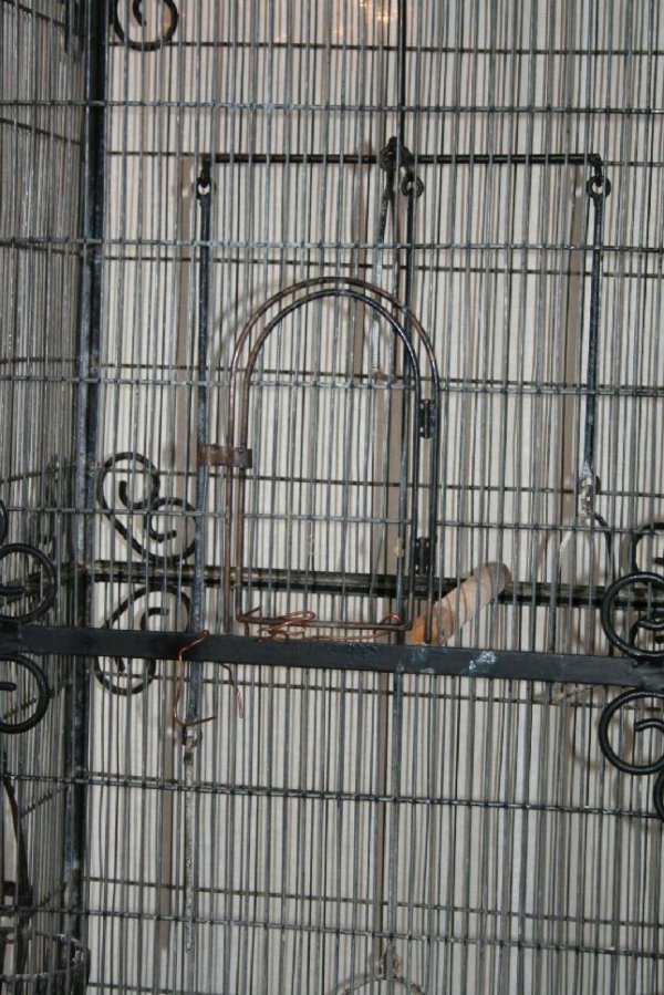 Vintage Wrought Iron Bird Cage - 3
