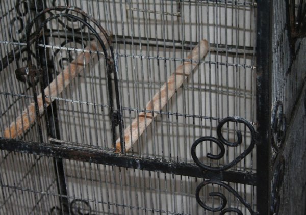 Vintage Wrought Iron Bird Cage - 4