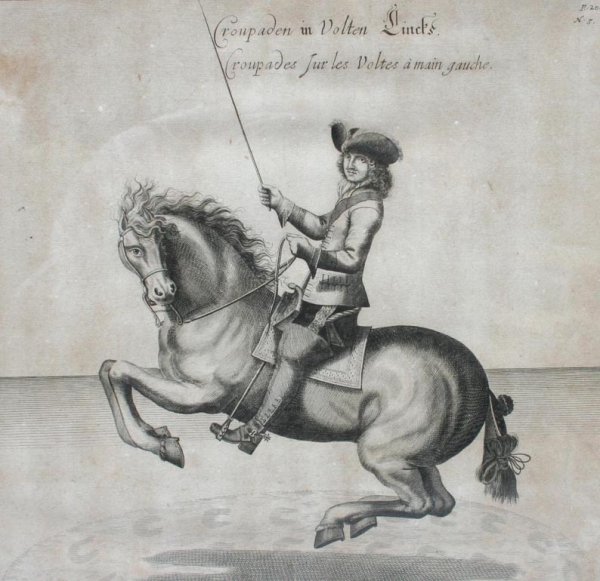 Trio of 18th c. Equestrian or Dressage Horse Print - 2
