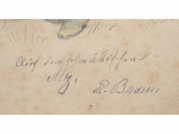 R. Braun Drawing of a French Woman - 5