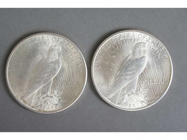 Group 25 Silver Liberty Dollars 1922, 1923, 1925 - 10