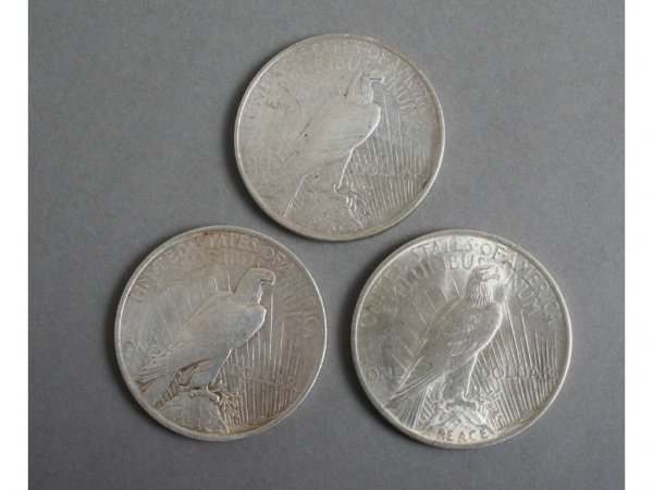 Group 25 Silver Liberty Dollars 1922, 1923, 1925 - 2