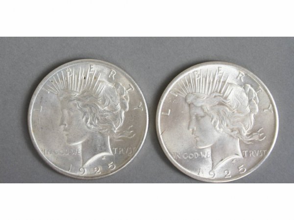 Group 25 Silver Liberty Dollars 1922, 1923, 1925 - 9