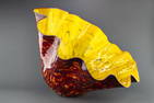 Dale Chihuly, Massive Commissioned Hand Blown Glass Macchia, Fine Art 75k plus