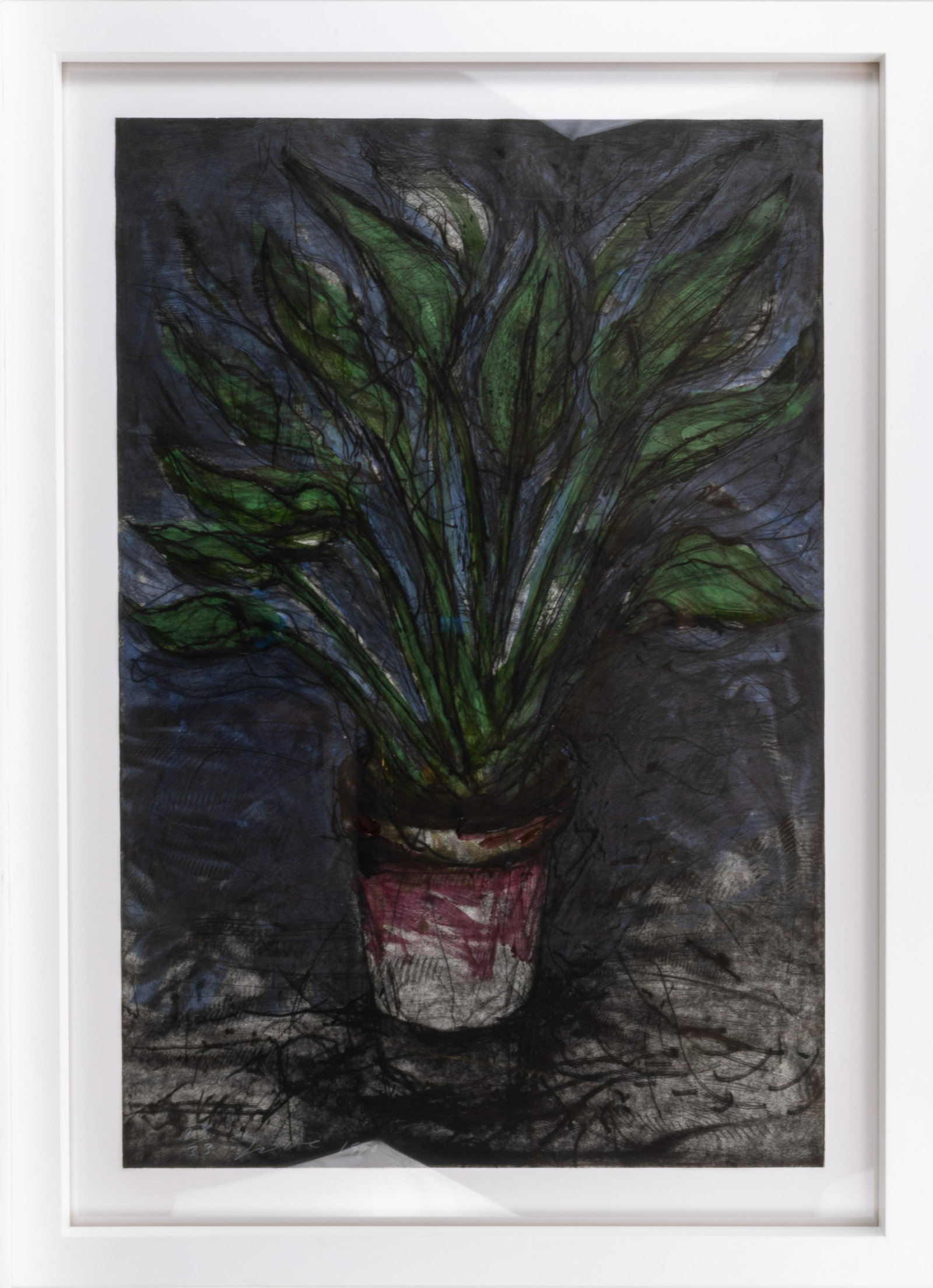 Jim Dine A Well Painted Strelitzia Signed Etching with Hand Coloring Contemporary Art Print (1 of 10)