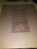 Illuminated Manuscript Antique Page Hand Painted - 4