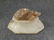 hand carved vintage Turtle statue alabaster/Marble