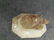 hand carved vintage Turtle statue alabaster/Marble - 2