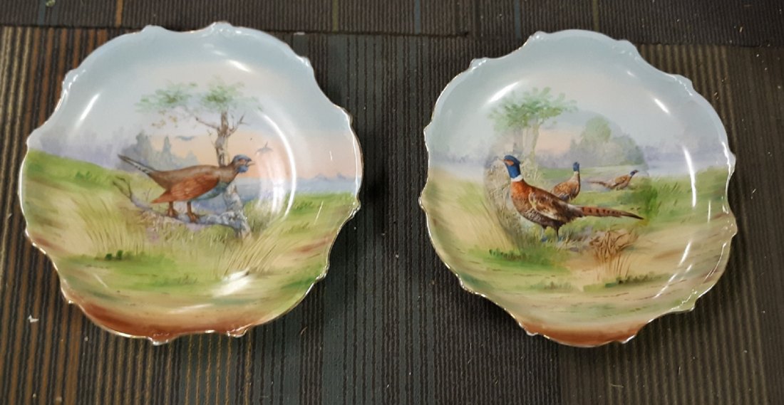 PAIR of rare Hand painted Austria Bowls 13.5 Beauty!: AUSTRIA Game Bird Ring Neck Pheasant 13.5 Bowl & AUSTRIA Pheasant 13.5 Bowl both are in excellent condition can be hung up on the wall see pics great colors signed on back