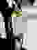 item-102823301=3