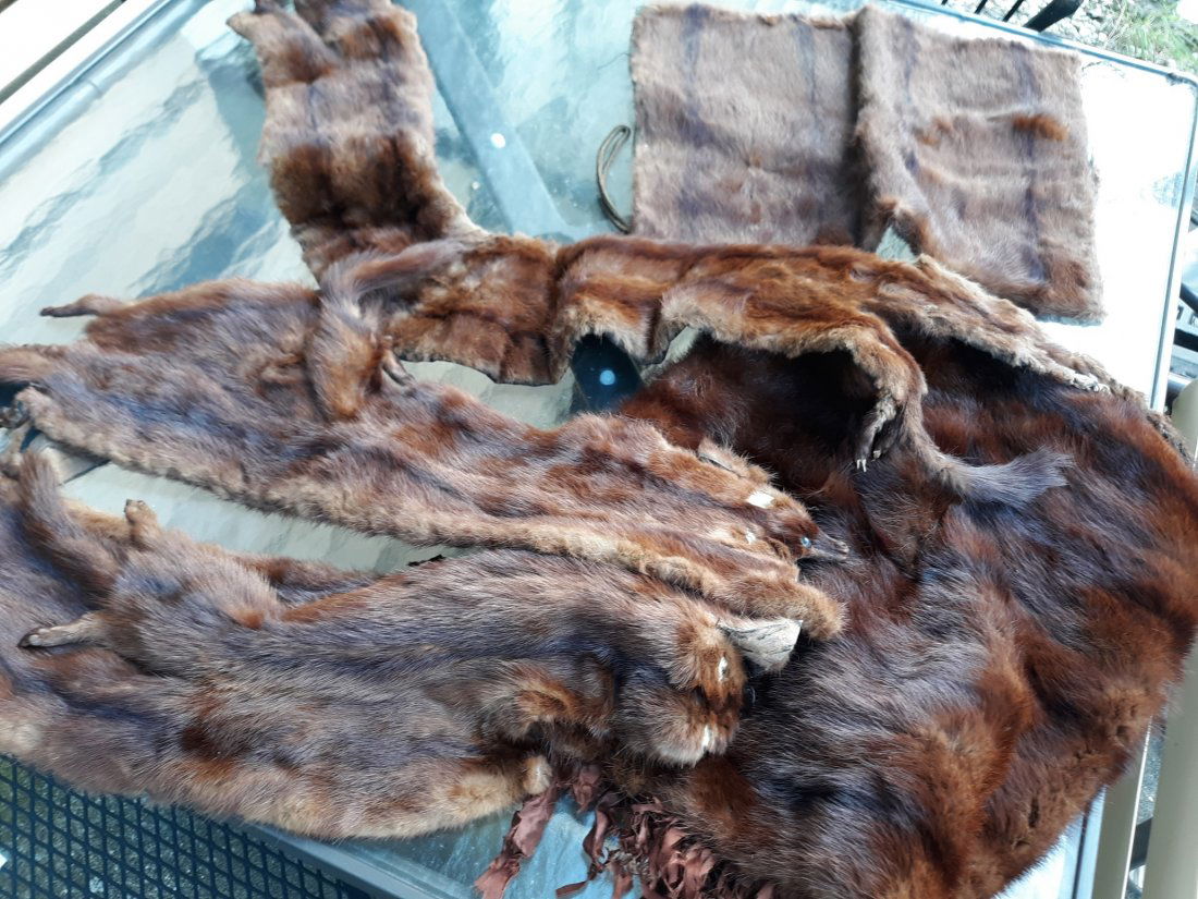 vintage mink furs pieces collar, hand warmer etc...: the large hand warmer needs new inside but fur looks okay, see pics all for one bid