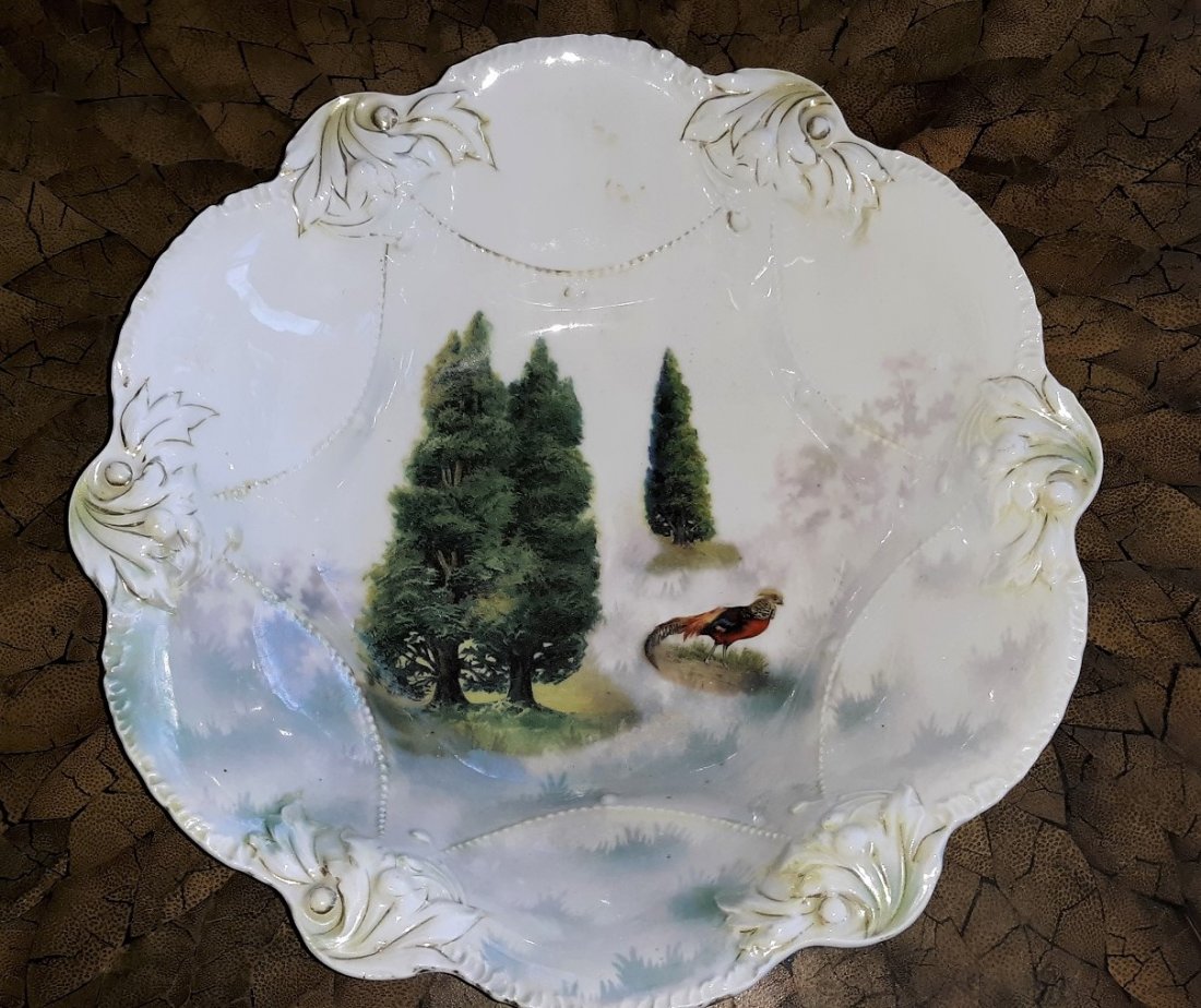 RS Prussia 9 1/4" Bowl with poppies blue background: RS Prussia 9 1/4" Bowl with poppies blue background has poppies and daisies also Cottage mold? no damage no breaks see pics