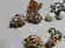 item-131273137=2