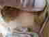 item-131883958=3