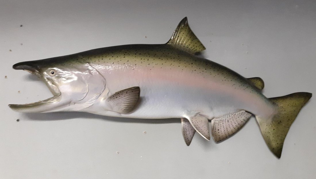 Large Wall Art Sculpture Fish 42" (1 of 3)