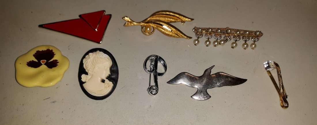 Vintage Brooches Cameo & more Lot Of 8 (1 of 3)