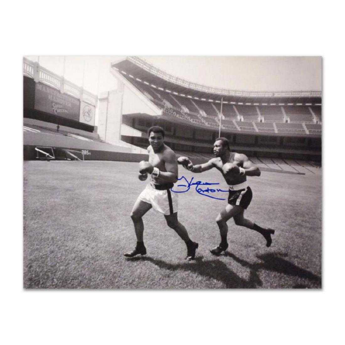 Must-Have Signed Sports Photo. "Ken Norton and Ali,: Perfect for any boxing enthusiast, "Ken Norton and Ali, Yankee Stadium" commemorates the world-famous boxing matches between Ken Norton and Muhammad Ali. This photograph is hand-autographed by multi-t