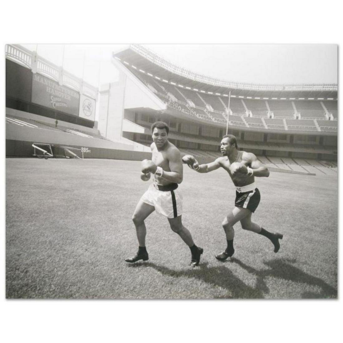 Licensed Photograph (40" x 30") of the Heavyweight: Own a piece of sports history with this photo of Muhammad Ali and Ken Norton (1943-2013), one of Ali's famed opponents. Taken at the peak of Ali's success as one of the greatest heavyweight championsh