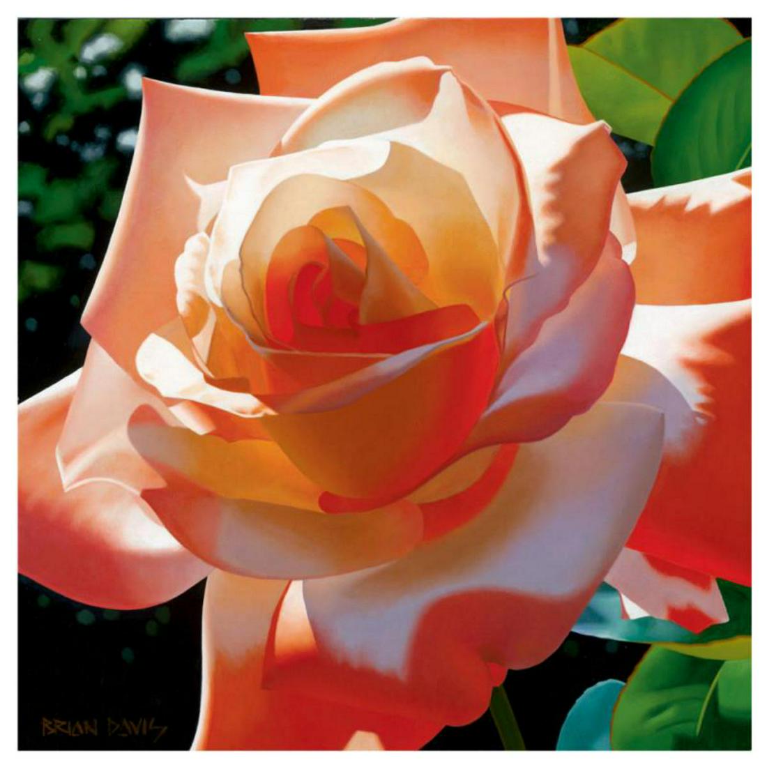 Brian Davis, "Orange Radiance" Limited Edition Giclee: "Orange Radiance" is a limited edition giclee on canvas by Brian Davis, numbered and hand signed by the artist. This piece has a 2" border and may be framed or gallery wrapped based on preference. Inc