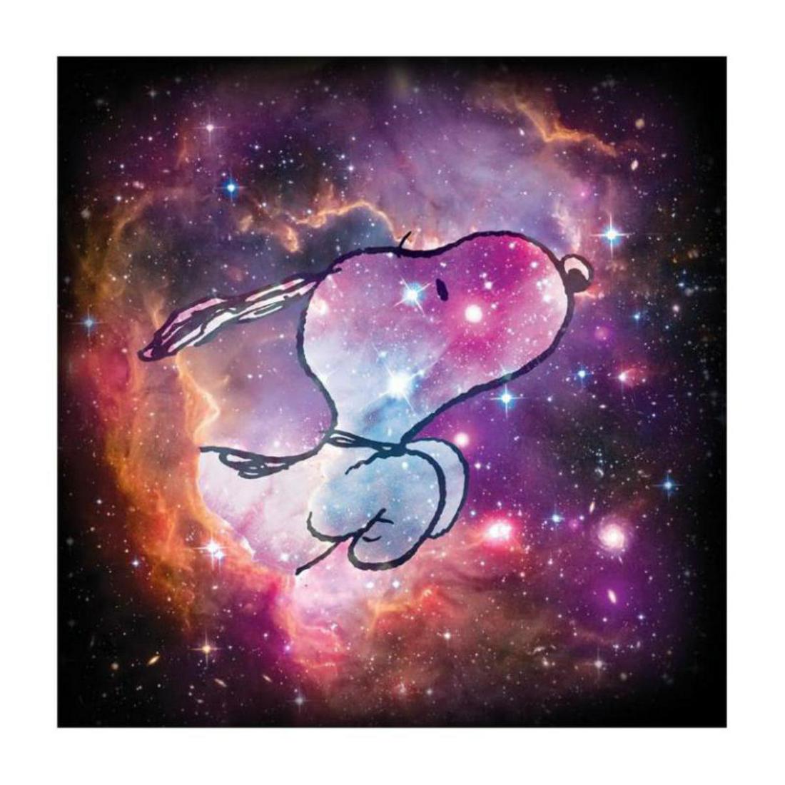 Peanuts, "Reach for the Stars" Hand Numbered Canvas: A beautiful edition combining the artwork of Schulz, with an official photograph from the NASA archives. Credited University of Wisconsin. You won't be able to stop looking at this stunning piece once