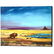 "Where the Buffalo..." Limited Edition Giclee on Canvas - 2