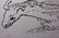 Salvador Dali- Original Lithograph from Gouache and - 4