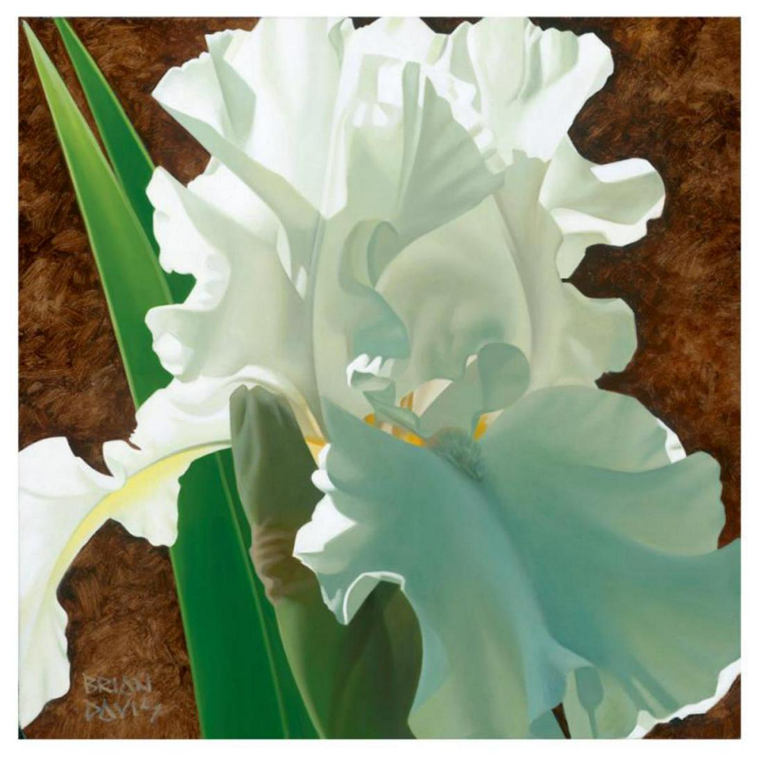 Brian Davis, "Solitary White Iris" Limited Edition: "Solitary White Iris" is a limited edition giclee on canvas by Brian Davis, numbered and hand signed by the artist. This piece has a 2" border and may be framed or gallery wrapped based on preference.