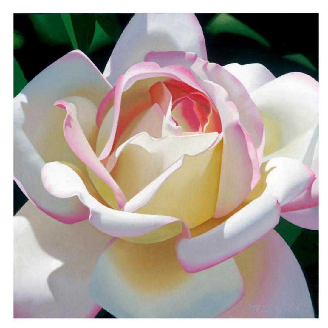Brian Davis, "Single Cherry Parfait Rose" Limited: "Single Cherry Parfait Rose" is a limited edition giclee on canvas by Brian Davis, numbered and hand signed by the artist. This piece has a 2" border and may be framed or gallery wrapped based on pref