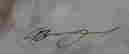 item-97500950=2