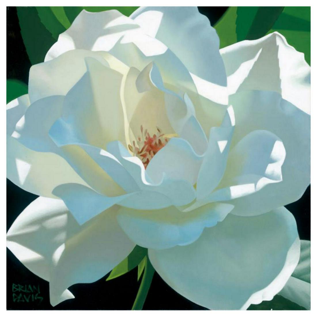 Brian Davis, "Rose In The Shadows" Limited Edition (1 of 1)