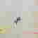item-100968091=2