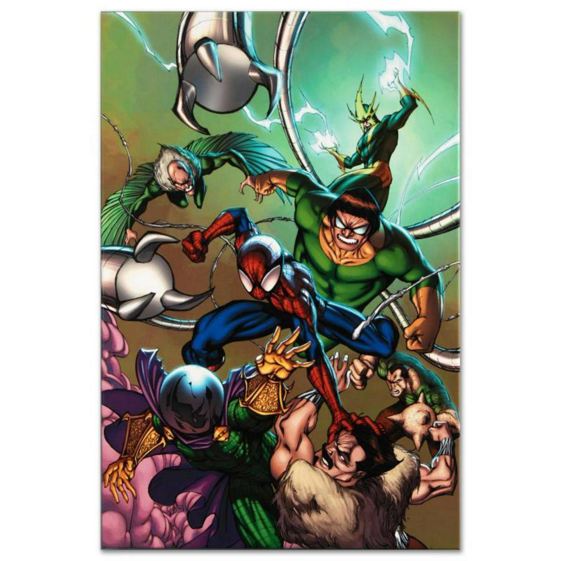 Marvel Comics "Marvel Adventures: Spider-Man #17" (1 of 1)