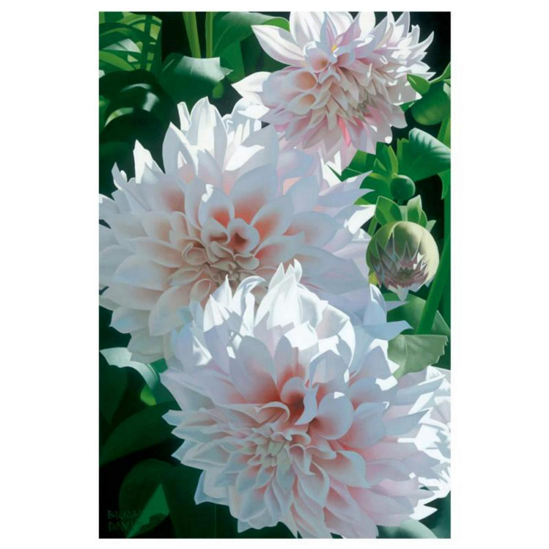 Brian Davis, "Three Pink Dahlias" Limited Edition (1 of 1)