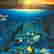 item-111708124=2