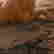 item-111708313=2