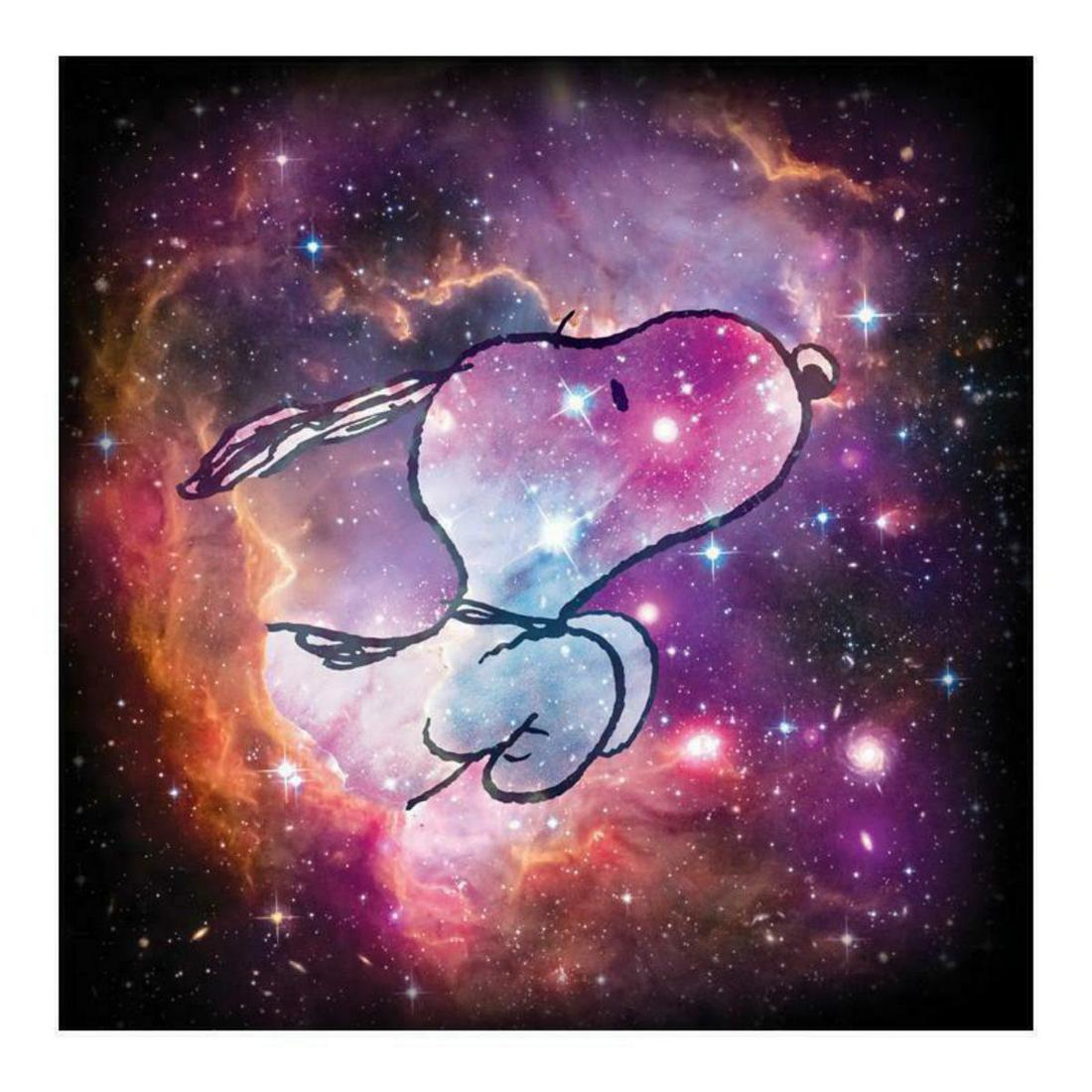 Peanuts, "Reach for the Stars" Hand Numbered Limited: A beautiful edition combining the artwork of Schulz, with an official photograph from the NASA archives. Credited University of Wisconsin. You won't be able to stop looking at this stunning piece once