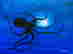 item-117183638=2